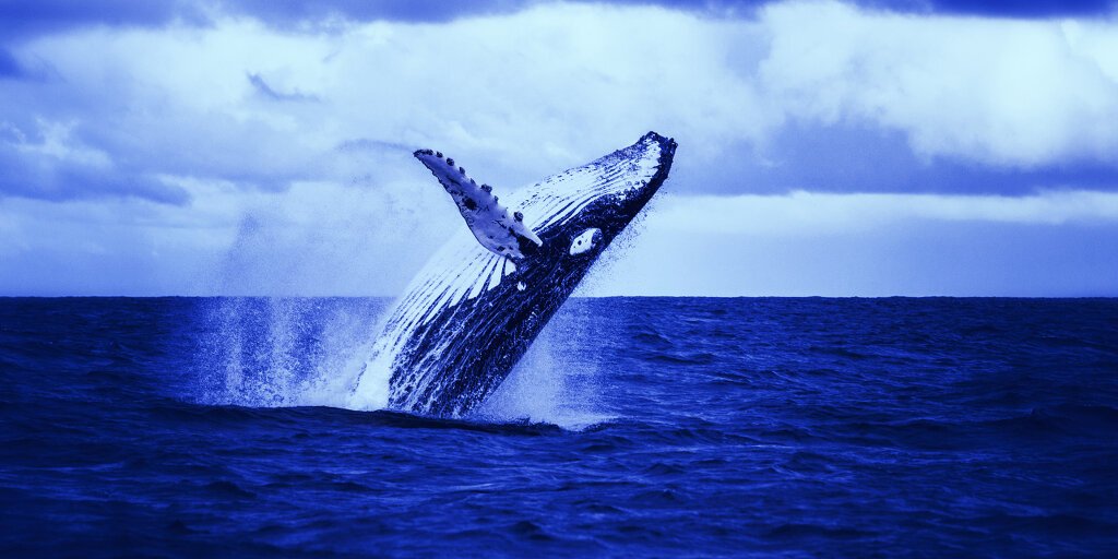Bitcoin’s Biggest Whales Are in Decline